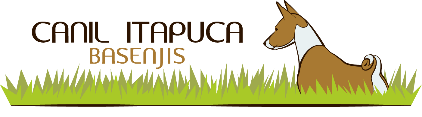 logo itapuca